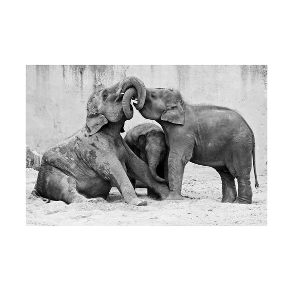 Antje Wenner Braun 'Ma�Nage A� Trois' Canvas Art