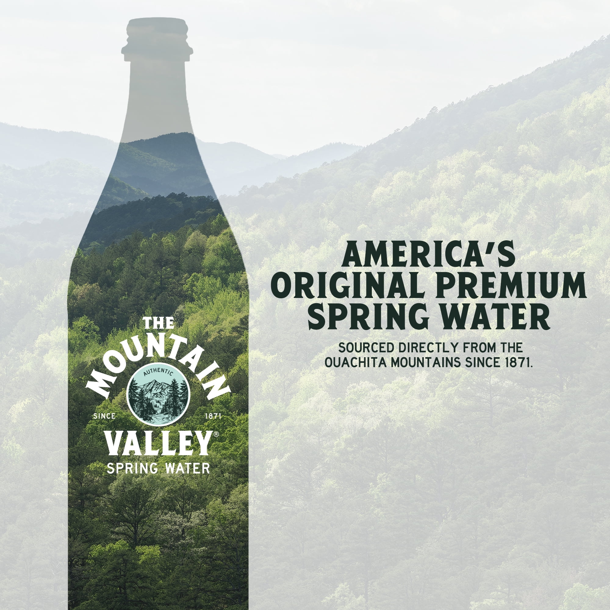 Mountain Valley Spring Water, 16 fl oz, 6-pack Aluminum Bottle
