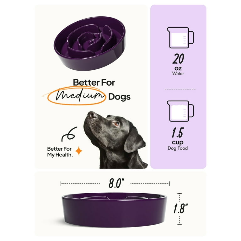  Sted Slow Feeder Dog Bowls Ceramic, 1.5 Cups Slow Feeder Dog  Bowls Small Medium Breed, Dog Food Bowls, Heavy Premium Ceramic Dog Bowls,  Help Dog Slow Down Eating, Diameter 8.6 in