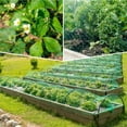 thumbnail image 5 of Green Bird Nets Protect Plants Fruits Vegetables Flowers Plants Trees Fences Ponds Durable Nets Prevent Birds Deer and Animals, 5 of 7