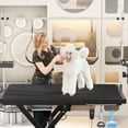 thumbnail image 7 of Update electric pet grooming table, 110V/220V professional groomer recommend super Deluxe electric pet grooming table, height adjust from 8 up to 36inch BLACK COLOR, 7 of 7