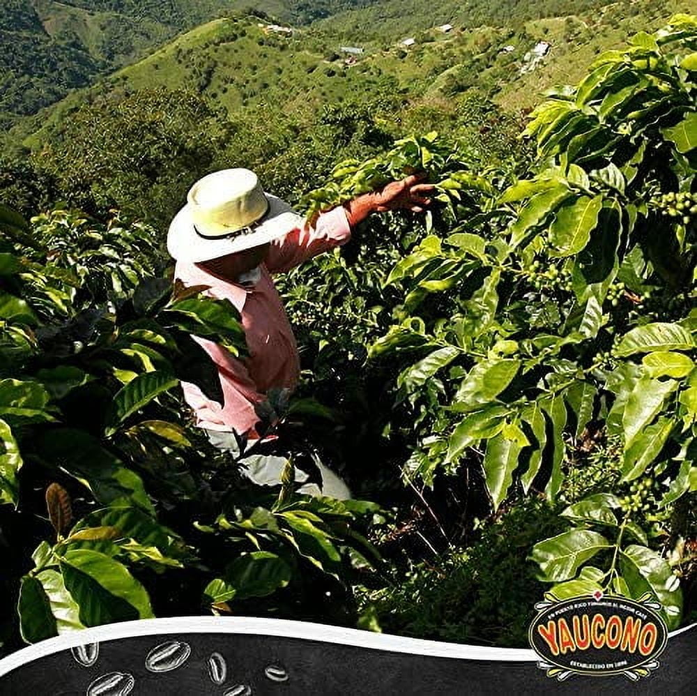Yaucono Dark Roast Ground Coffee, Puerto Rico, 100% Arabica, 10 Ounce (Pack of 2)