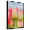 thumbnail image 3 of Twotone Tulip Framed Premium Gallery Wrapped Canvas - Ready to Hang, 3 of 9