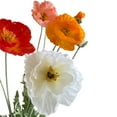 thumbnail image 5 of LShunze Poppies Artificial Poppies Realistic Faux Poppies for Your Home Kitchen Wedding or Memorial Day Decor These Fake Flowers with Stems Will Make Any Space Shine, 5 of 8