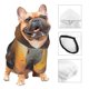 thumbnail image 3 of Fotbe Flower Meditating Rabbit Sudadera con Estampado para Perros Pequeños – Suéter con Capucha para Mascotas, Tela Suave de Forro Polar con Bolsillo-X-Large, 3 of 7