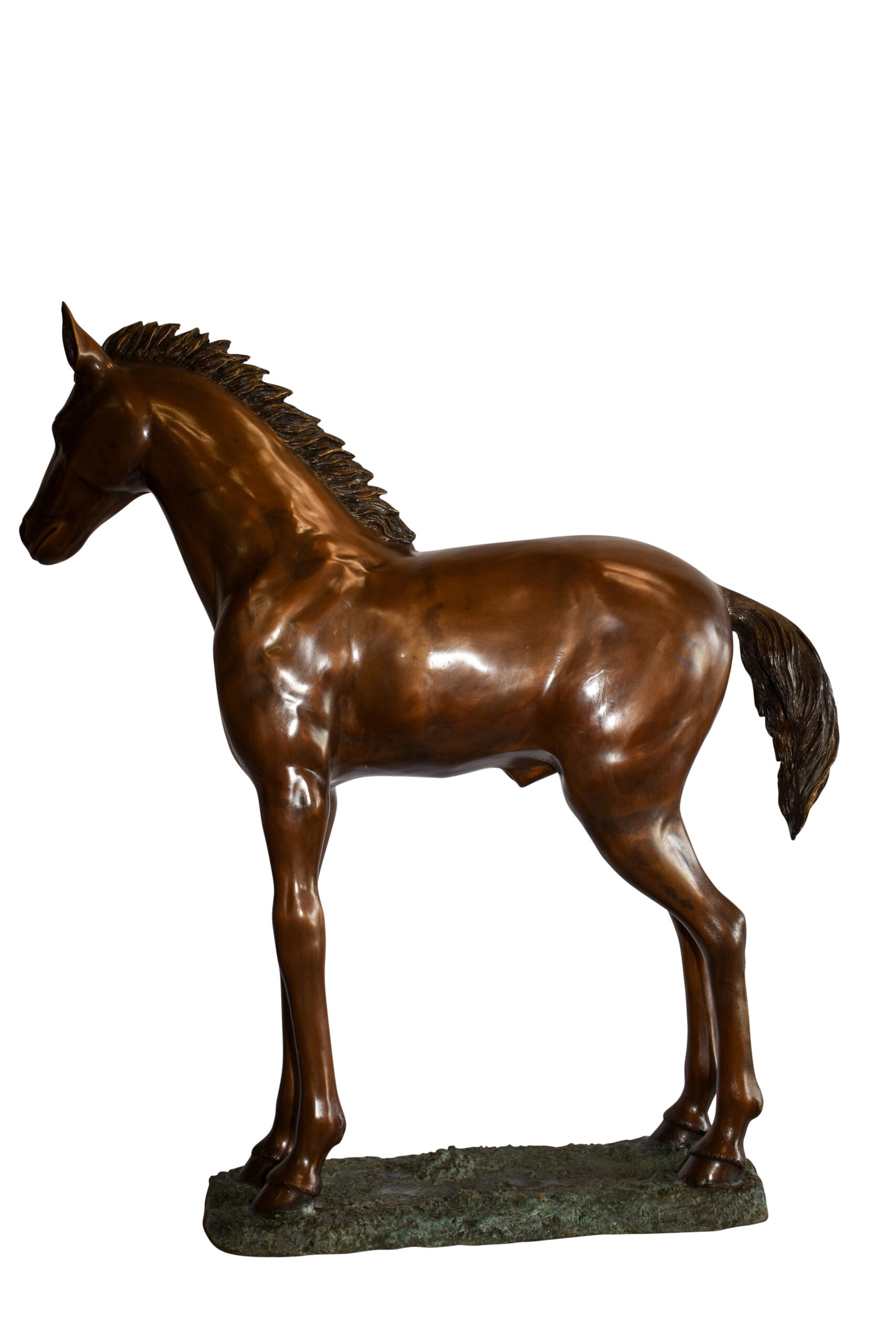 Standing Pony Made of Bronze Statue 47" x 12" x 48"H