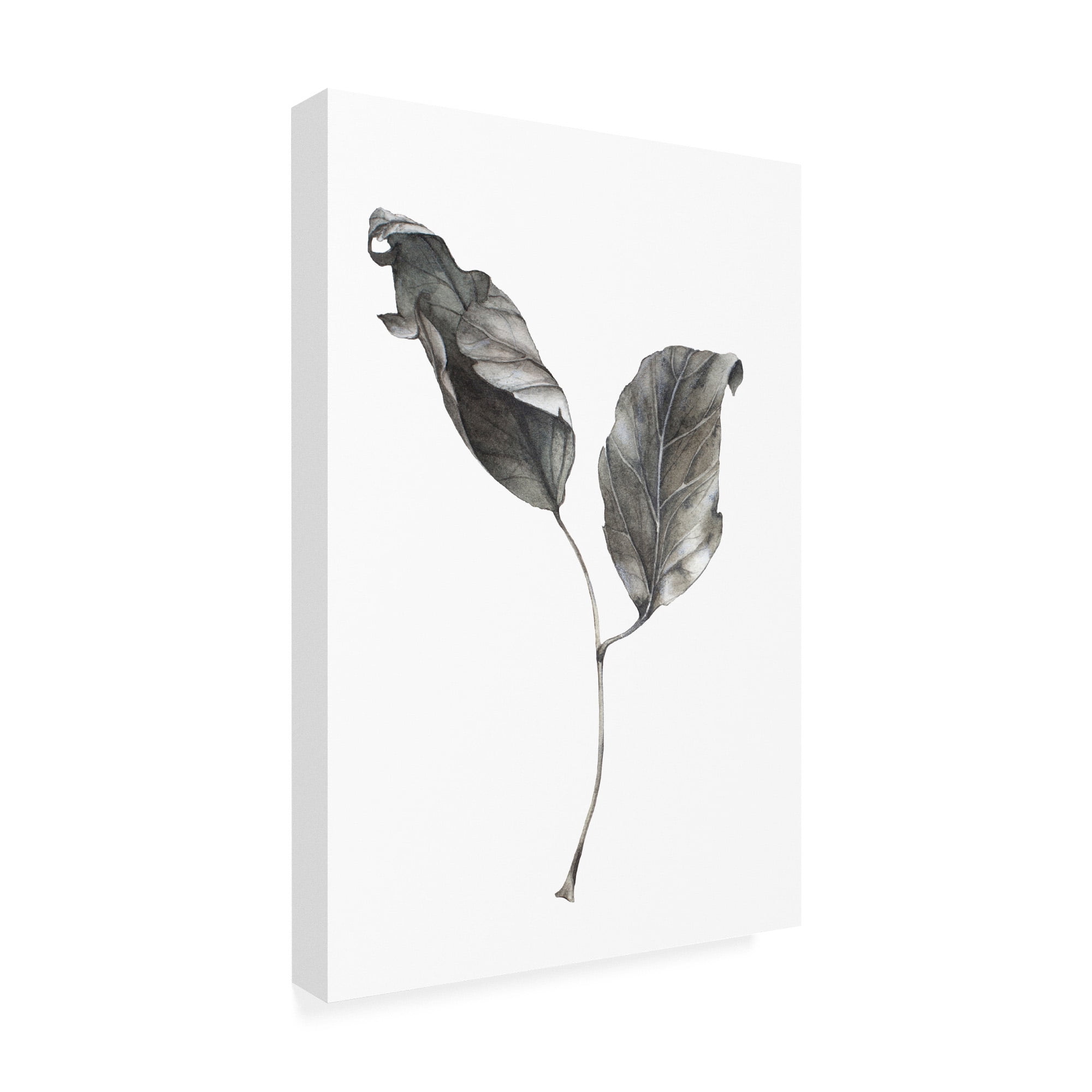 Trademark Fine Art 'Silver Leaf' Canvas Art by Incado