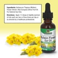 thumbnail image 4 of Aceite para orejas Nature's Answer, flor de gordolobo sin alcohol, 4 of 7