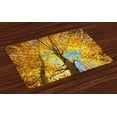 thumbnail image 1 of Ambesonne Nature Place Mats Set of 4, Autumn Trees Leaf Forest, Standard Size, Earth Yellow Sand Brown, 1 of 4