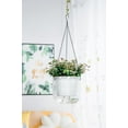 thumbnail image 2 of 6.5inch 1 Pack Self Watering Hanging Planter, Indoor Outdoor Hanging Drainage Holes Planters Flower Pot Basket, Visible Water Level, Plant Hanger Home Garden Decor, 2 of 8