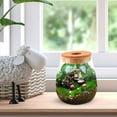 thumbnail image 2 of Glass Hydroponic Flower Vase Tank with Cork Lid Water Flower Pot Bonsai Planter Flower Arrangement Table Centerpiece For Home Office Tabletop, 2 of 6