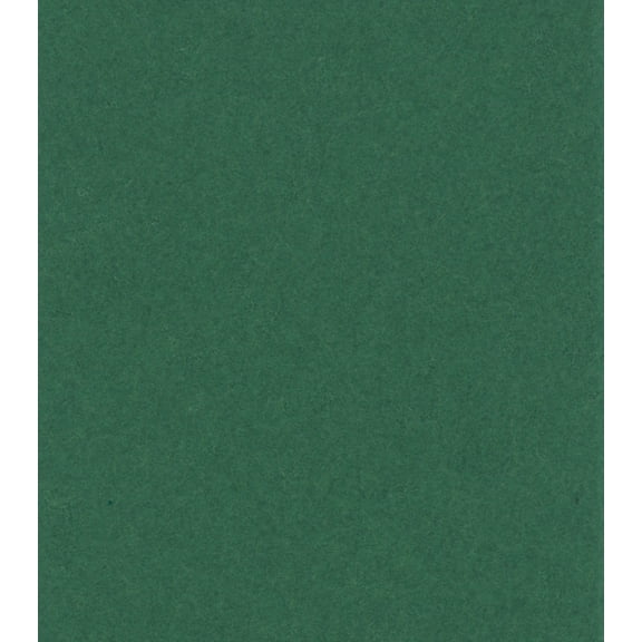 Bazzill Card Shoppe Heavyweight Cardstock 8.5"X11"-Evergreen