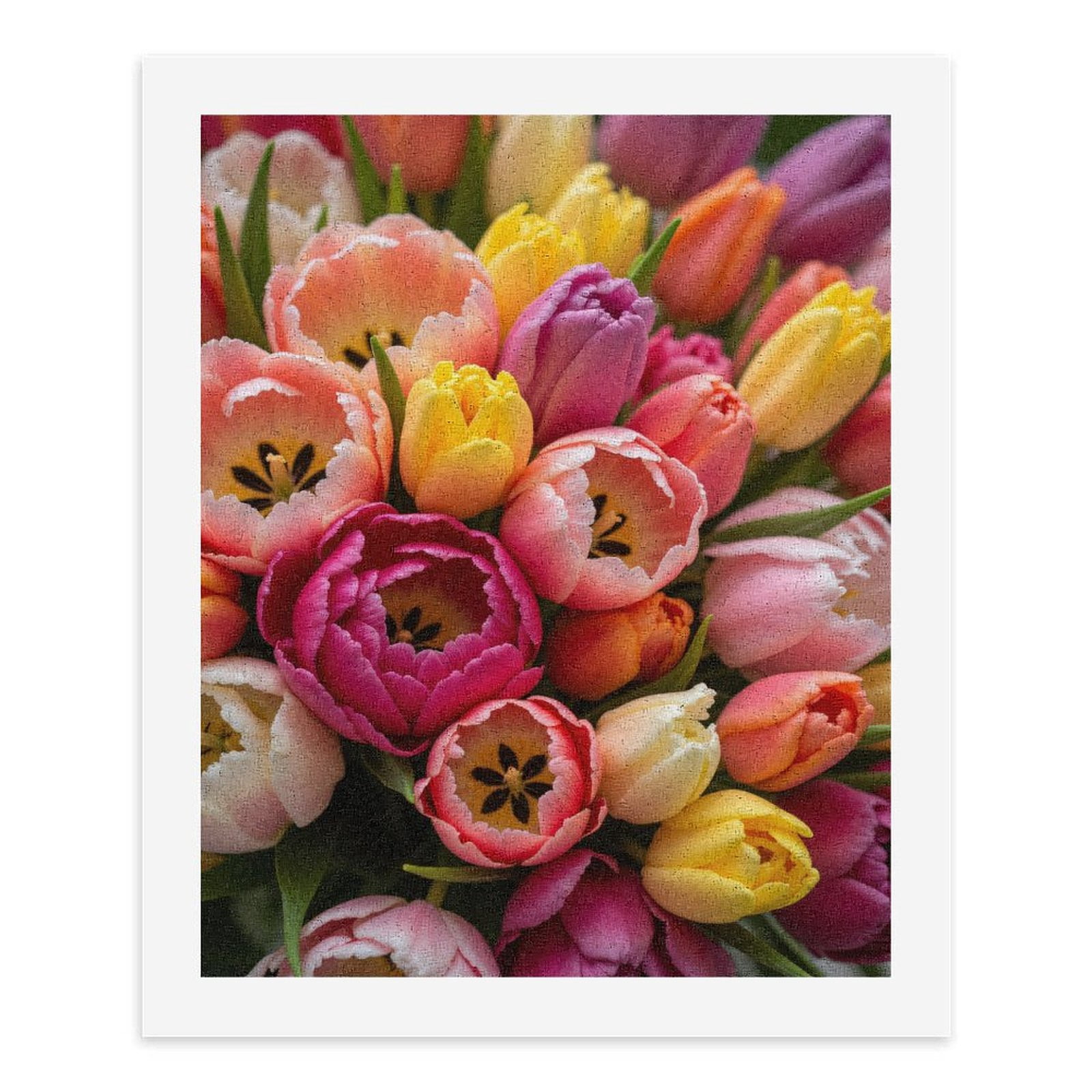 Paint by Numbers Kit for Adults, Vibrant Spring Tulip Bouquet Paint by Numbers, Easy Paint by Numbers Kit for Adults Beginner, DIY Adult Paint by Number Kits on Canvas, 12x16in Home Decor