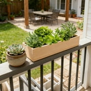 Bonsai Tree Kit for Beginners - Unique DIY Japanese Bonsai Trees,Crafts for Adults, Ideal Gardening Birthday Gift for Women & Men,Complete Indoor Plant Kit