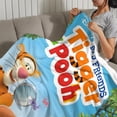 thumbnail image 3 of Winnie the Pooh y Tigger el Tigre anti-pilling, suave, ligera, esponjosa y acogedora de lujo para hogar y cocina – Perfecta para niños y adultos,100X130cm, 3 of 6