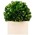 thumbnail image 5 of Faux Boxwood Boxed Topiary, Medium-Color:Green,Style:Botanical, 5 of 6