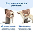 thumbnail image 6 of PetSafe Easy Walk Comfort No-Pull Dog Harness, 5 Adjustement points, M/L, Pink, 6 of 9