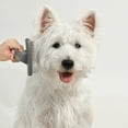 thumbnail image 5 of Necvior Pet Comb Dog Grooming Dematting Brush Deshedding Comb Rakes Tool Supplies, 5 of 11