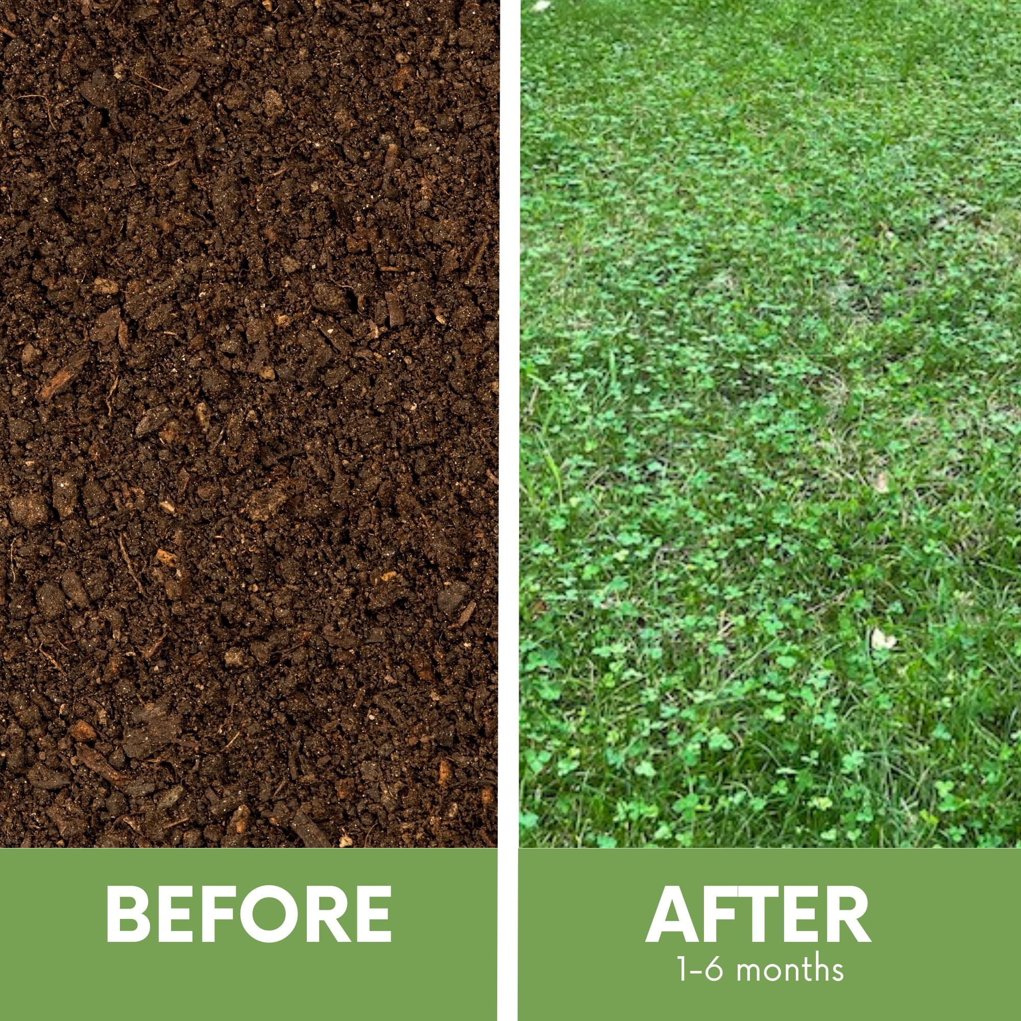 Flawn Seed Kits Shaker Jug Micro Clover and Fine Fescue Grass Seeds - Easy Spread, Low Maintenance