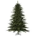 thumbnail image 5 of Vickerman 10' x 63" Kamas Fraser Fir Tree, Warm White Low Voltage 3MM LED Lights., 5 of 5