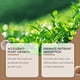 thumbnail image 5 of Polvo potenciador del crecimiento de las plantas - Potenciador del suelo de nutrientes multiefecto para plántulas, frutas, verduras - Fertilizante de jardín universal para plantas en macetas y, 5 of 7