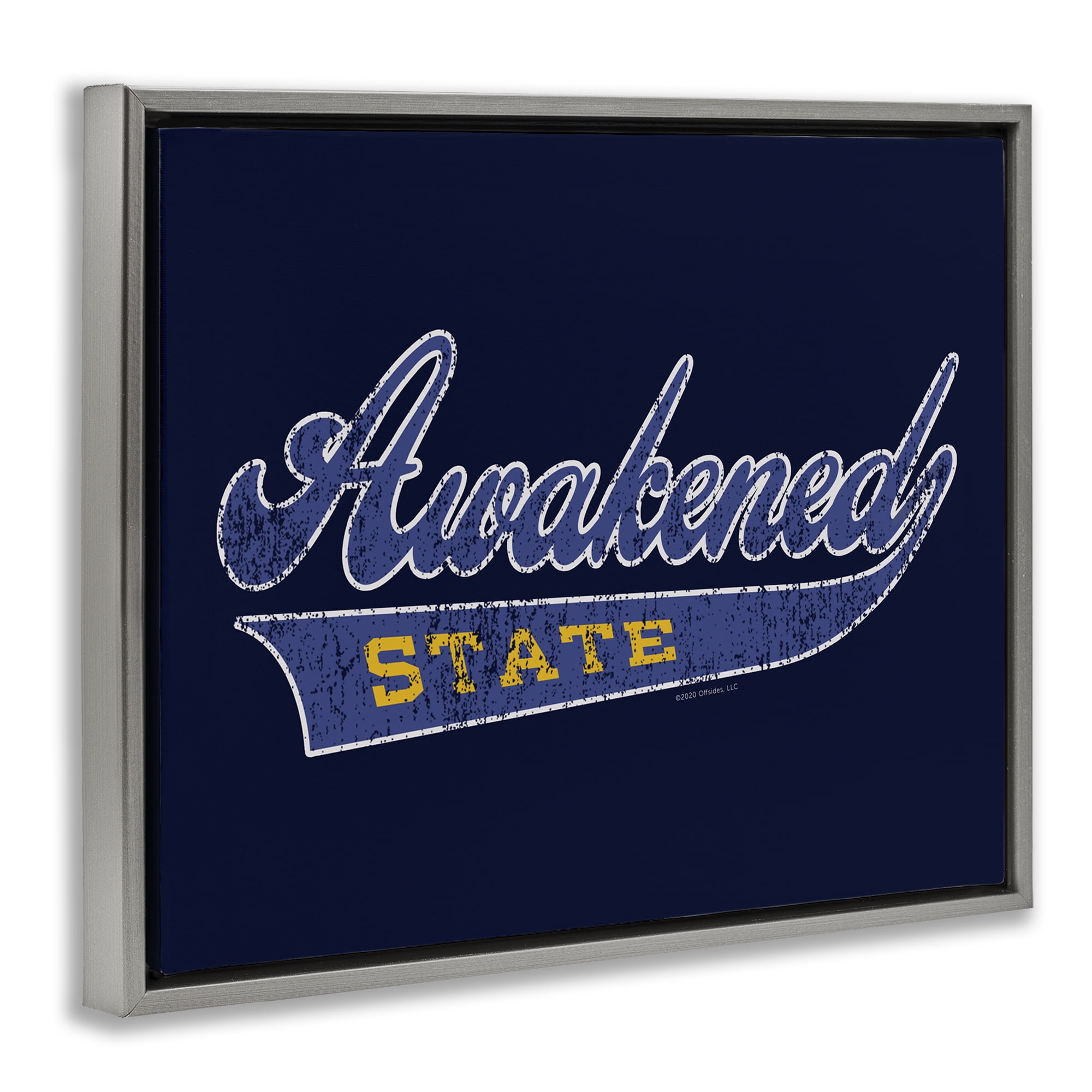 Stupell Industries Awakened State Varsity Novelty & Humor Painting Gray Floater Framed Canvas Art Print Wall Art, 31 x 25
