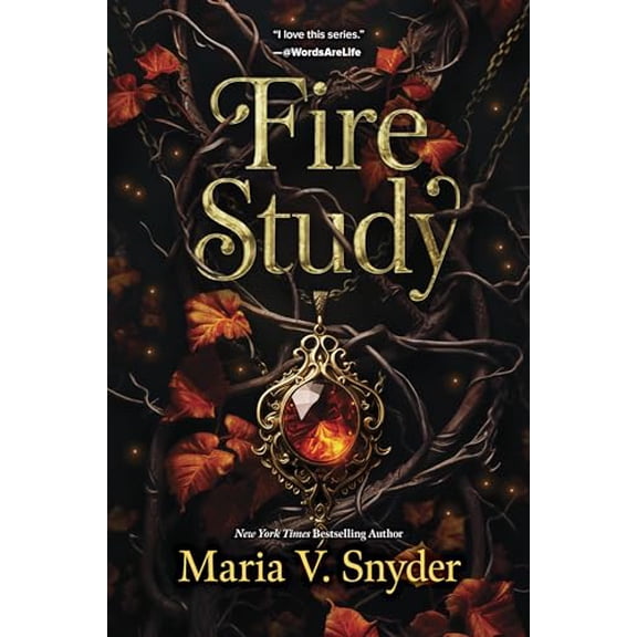 Pre-Owned Fire Study (Paperback) 0778368246 9780778368243