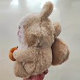 thumbnail image 5 of Cartoon Hugging Hazelnut Squirrel Plush Doll Children's Soothing Toy Cute Cute Chipmunk Plush Doll, 5 of 5
