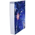 thumbnail image 1 of Pre-Owned Pathophysiology, (Paperback), 1 of 1
