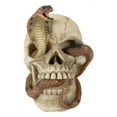 thumbnail image 2 of Ebros Cranium Skeleton Cobra Snake Habitat Skull Statue Figurine 4.25"H, 2 of 7