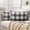 Grey and White, variant on Pack of 2 Farmhouse Buffalo Check Plaids Polyester Linen Soft Soild Square Throw Pillow Covers Cream White Home Decor Outdoor Cushion Case for Sofa Bedroom 20 x 20 Inch
