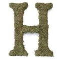 thumbnail image 7 of Large (15") Moss Monogram, A, 7 of 7