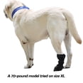 thumbnail image 4 of Dog Paw Recovery Boot for Injured Paws Post Surgery Breathable Protective Shoe with Non-Slip Sole Adjustable Self-Adhesive Strap Black, 4 of 8