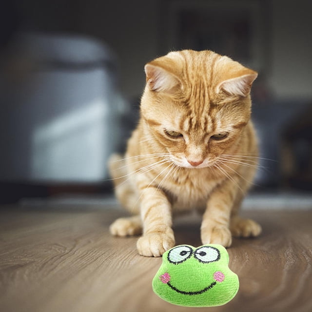 Juguete para gatos perfecl con hierba gatera interactivo para animales pequeños resistente a mordeduras