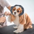 thumbnail image 3 of Dog Snood Ear Cute Dog Neck Headwear Dog Ears Neck and Ears Warmer for Grooming Bathing Blow Drying Dog - Gray,, 3 of 10
