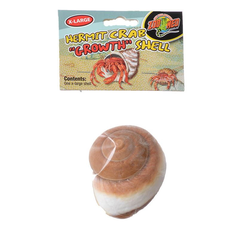 hermit crab supplies
