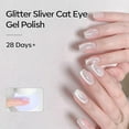thumbnail image 3 of modelones Cat Eye Gel Nail Polish, 15 ML Glitter Holographic Magentic Nail Polish with Magnet Soak Off U V LED White Gel Polish Silver Shimmer Glass Nail Polish Nail Art Manicure Salon DIY Home, 3 of 9