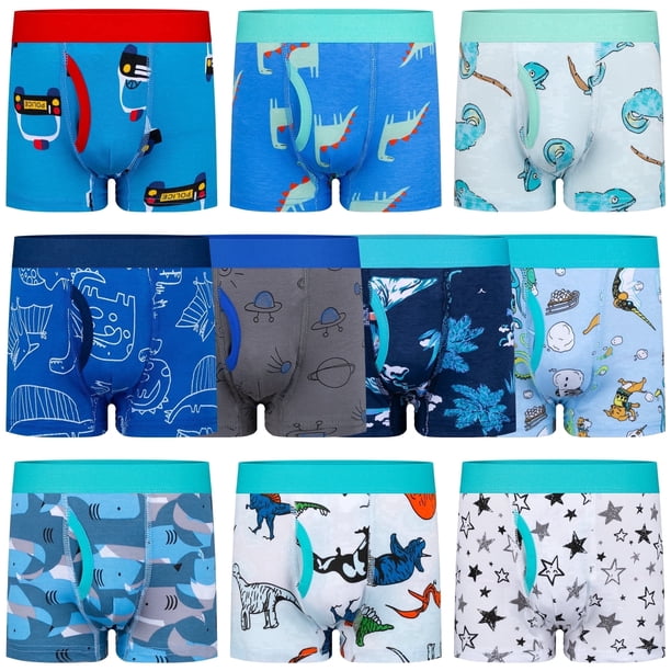 BIG ELEPHANT Ropa Interior para Niño Pequeño, Calzoncillo de Algodón Suave Ropa Interior para Niño Pequeño, Paquete de 10 (4T-9Y)