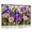 Color 1, variant on 8 Pack Art Acoustic Panels Sound Absorbing Barn Windmill Artwork Rustic Barn Wood Farm Metal Windmill Decorative Soundproof Wall Panels Self Adhesive for Nursery Game Room Bedroom 48"x32"