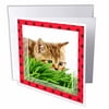 3dRose Cat Hunting Ladybug, Greeting Cards, 6 x 6 inches, set of 6