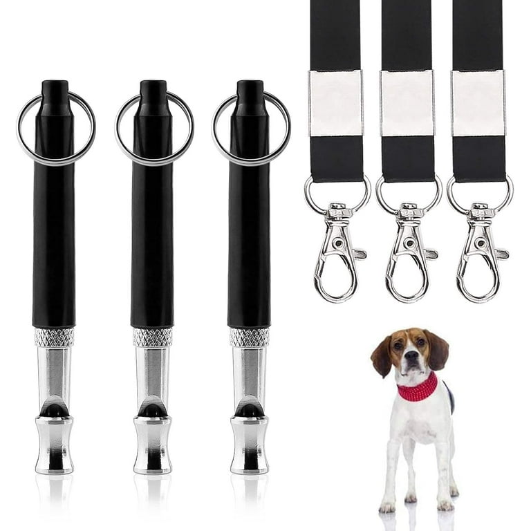 Are Dog Whistles Effective