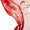 Red, variant on Underwear for Women Charming Thong Panties Thong Lace Pants Ladies Briefs Nightdress Babydoll Women's Lingerie,Red