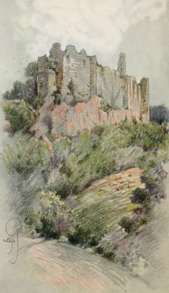 Forest Of Arden 191