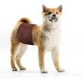 thumbnail image 4 of Couches Lavables pour Chiens Mâles (Lot de 3) Bande Ventrale Réutilisable pour Chiens Mâles, 4 of 5