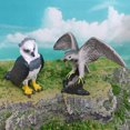 thumbnail image 2 of Set de figuras Realistic Bird Harpia Eagle y cernícalo americano, 2 of 3