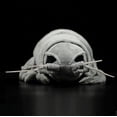 thumbnail image 2 of 30cm Grey Sea Creature Giant Isopod Soft Plush Toy Stuffed Animal Doll Kids Gift, 2 of 12