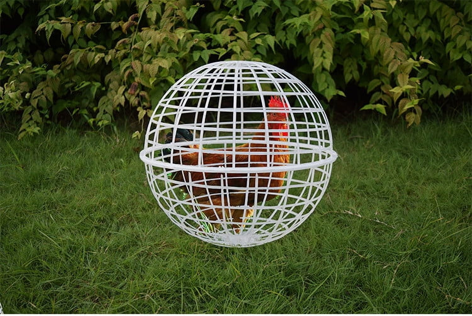 Wovilon 30CM Free Range Chicken Cage Plastic Spherical Chicken Cage Round Rabbits Cage Can Be Rolled For Walking Around In The Scenic Area For Foraging