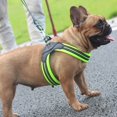 thumbnail image 4 of Harnais pour Chien Harnais pour Animaux de Compagnie Sans Traction avec 2 Pinces à Laisse Réglables Gilet de Chien Rembourré Réfléchissant Extérieur Gilet Oxford pour Animaux de Compagnie, 4 of 6