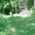 thumbnail image 4 of Walk N Toss 2,5lbs par Rack Stacker, 4 of 11