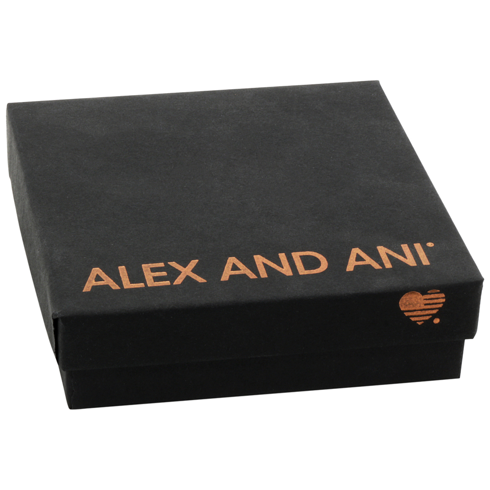 Raven key discount alex and ani